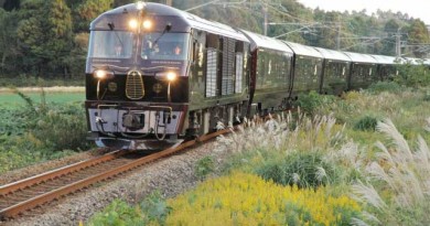 優雅な列車の旅