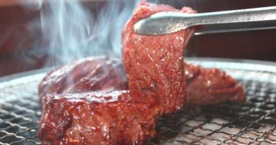 自宅で焼肉。汚れが気にならない優れもの 自宅で焼肉。汚れが気にならない優れもの