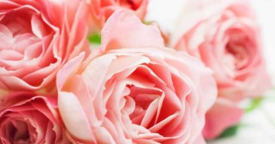 年間購読に伴う会員限定のイベントは素晴らしい!? 年間購読に伴う会員限定のイベントは素晴らしい!?