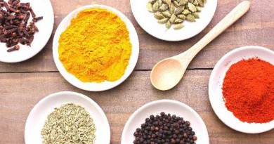 スパイシー料理の代名詞、インド料理を食す