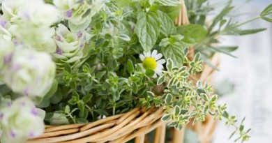 ここが私の安全基地。伊勢丹ビューティアポセカリーというリッチな空間。