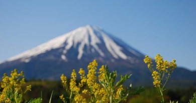 富士山麓に別荘を構える 富士山麓に別荘を構える