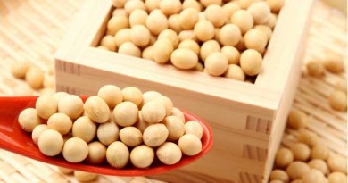 「山うに」は、アルコールをたしなむエグゼクティブな方なら太鼓判間違いなし!? 「山うに」は、アルコールをたしなむエグゼクティブな方なら太鼓判間違いなし!?