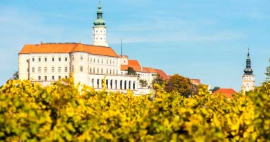 チェコ産の白ワイン。癖のある煮込み料理にあわせて・・・ チェコ産の白ワイン。癖のある煮込み料理にあわせて・・・