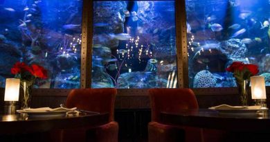 カジュアルなフランス料理と目の前に泳ぐ美しい熱帯魚・・・時の経つのを忘れます
