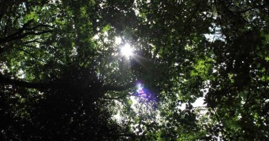 日本の無人島オーナーになりませんか 日本の無人島オーナーになりませんか