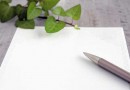 ロットリングのボールペンが最終的にはリュクスなのだという私の見解