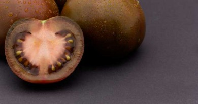 ハチミツのような甘みと健康食品レベルの栄養価が同時に手に出来るすごいジュース。ブラックプリンストマトジュース。 ハチミツのような甘みと健康食品レベルの栄養価が同時に手に出来るすごいジュース。ブラックプリンストマトジュース。