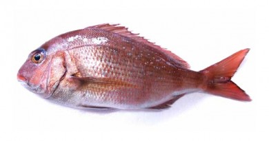 おめでたい時に家族で頂く、鯛の尾頭付き。ちょっと食卓へ・・・ おめでたい時に家族で頂く、鯛の尾頭付き。ちょっと食卓へ・・・