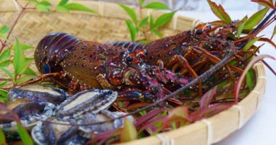 伊勢えびが届いたら・・・テルミドールで召しあがれ。 伊勢えびが届いたら・・・テルミドールで召しあがれ。