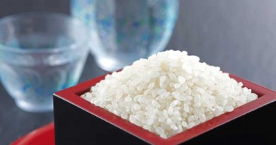 日本酒の最高クラス純米吟醸酒を贅沢に楽しむ