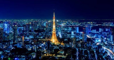六本木ヒルズの最上階のバードビューと天空での美術館を一年中楽しめるお得なパスポート