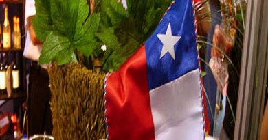 チリワインの最高峰を知ること