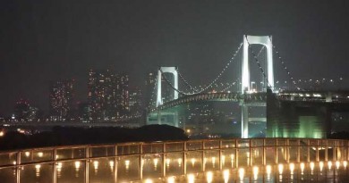 寒いけれど、なかなか見られない光景を目の当たりにできる・・・東京湾クルーズに行きましょう。