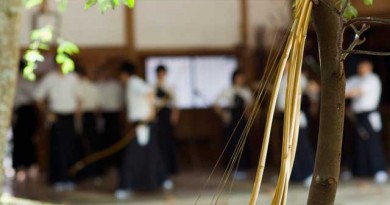 東洋の神秘、弓道。「道」を究めることは、最終的には自分を高みに持っていくことだと悟りましょう。