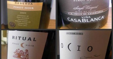 ブルゴーニュを超えるピノノワールの産地。セントラル・オタゴに要注目