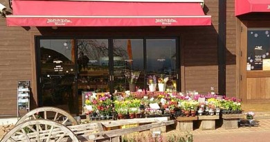 古戦場に現れたメルヘンなレストランは夢のようなスイーツ王国だったのです!?