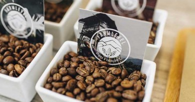 2016年春「VERVE COFFEE ROASTERS」が日本初上陸