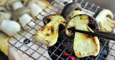 菌根菌のキノコは栽培不可能といわれていたのに！？奇跡の本しめじが食卓に・・・