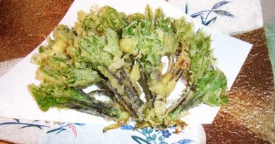 一年の限られた時期に食べてみたい山菜「コシアブラ」