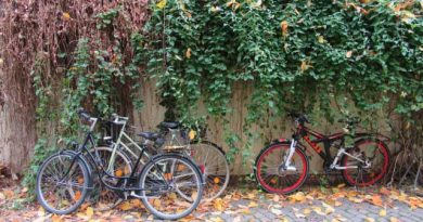 国民一人当たりの年間ワイン消費量1位は？実は、とても意外な国だった！