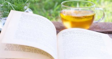 リラックスタイムに飲みたいハーブティー『マウンテンティー』