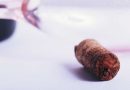 夏場でも美味しく保存。ワインを劣化させない最善の方法。