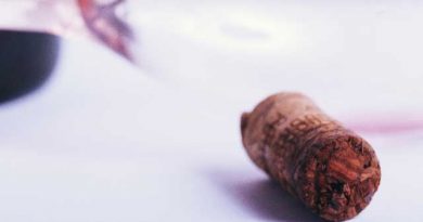 夏場でも美味しく保存。ワインを劣化させない最善の方法。