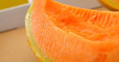 至極の贈物には富良野メロン