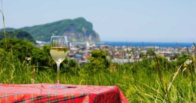 今最もアツい日本ワインの産地、北海道を押さえておこう！