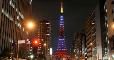 キャデラックのリムジンで東京ナイトクルージング キャデラックのリムジンで東京ナイトクルージング