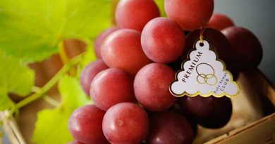 石川県が生んだ食べる宝石「ルビーロマン」 石川県が生んだ食べる宝石「ルビーロマン」