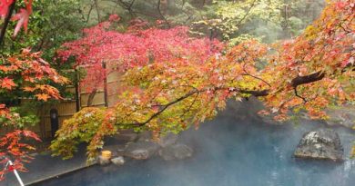 創業大正12年の歴史あるお宿『那須温泉 山楽』