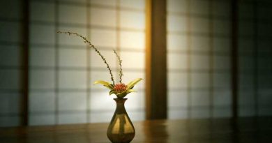 鎌倉の古民家で優しいお味の精進料理