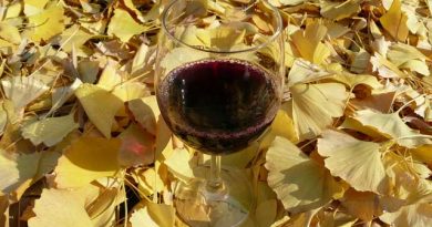 ボジョレー・ヌーヴォーだけじゃない！世界にもある新酒の世界