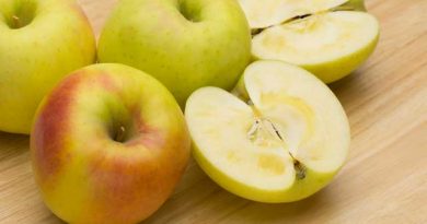 群馬が生んだリンゴ「ぐんま名月」 群馬が生んだリンゴ「ぐんま名月」