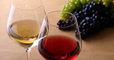 11月は日本ワイン!?山梨ヌーヴォーの魅力をお伝えします。 11月は日本ワイン!?山梨ヌーヴォーの魅力をお伝えします。