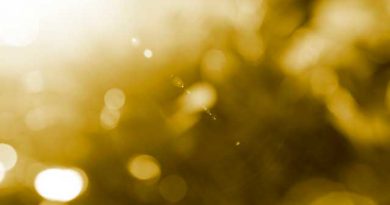 ケリーバッグを持って歩くことが目標