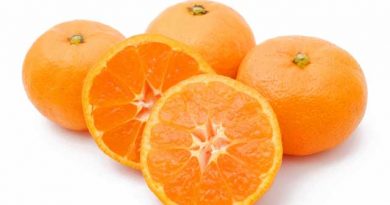 100年以上の歴史を誇る地で育ったみかん「味ピカ」