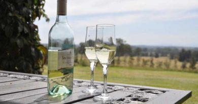 知っておきたい。大注目のオーストラリアワインの基本。 知っておきたい。大注目のオーストラリアワインの基本。