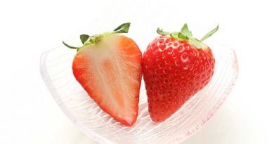 今が旬 高級いちご「スカイベリー」 今が旬 高級いちご「スカイベリー」