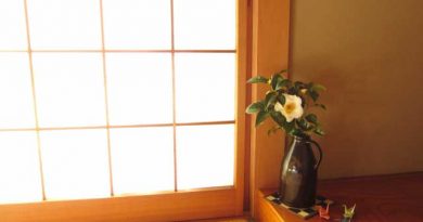 合鴨ではない・・・本物の鴨を味わいに浅草へ 合鴨ではない・・・本物の鴨を味わいに浅草へ