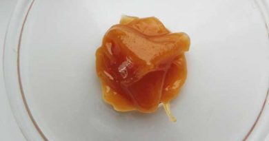 食べ物なのに、ここまで結果を出せる不思議、マヌカハニー。 食べ物なのに、ここまで結果を出せる不思議、マヌカハニー。