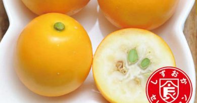 メロンより甘い！？金柑界のホープ「こん太」