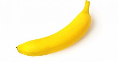 最高級バナナ!?「アポ山スーパー800」 最高級バナナ!?「アポ山スーパー800」