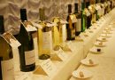 品評会が始まります。日本で飲める一番美味しいワイン。