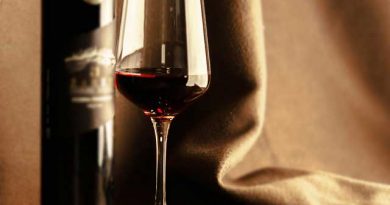 今からのニューワールドワインはココ!南アフリカが激アツ! 今からのニューワールドワインはココ!南アフリカが激アツ!