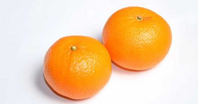 絶品!しあわせを運ぶ春みかん「ゆめほっぺ」 絶品!しあわせを運ぶ春みかん「ゆめほっぺ」