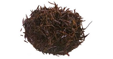 大分の姫島でしか取れない「幻の2日ひじき」