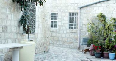 今知りたい！イスラエルワインの魅力